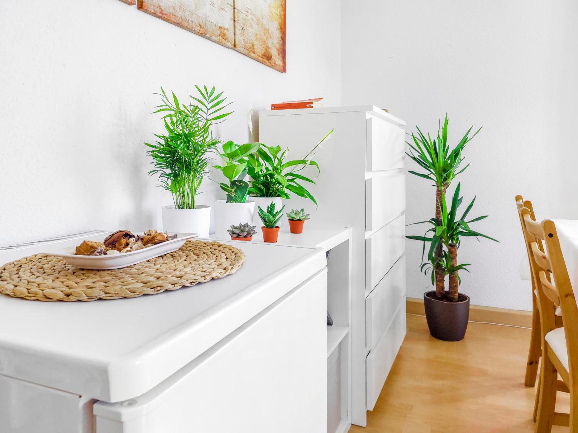 Bis 6 Personen - Helle, Ruhige Whg, 2 Baeder, Dd Neustadt, Top Lage * Dresden